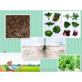 Water Soluble Organic Microelement Nitrogen, Phosphorus and Potassium NPK Fertilizer